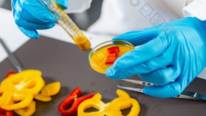 生抽与老抽：红烧肉的黄金搭档，如何选择？**